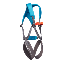 MOMENTUM FULL BODY HARNESS